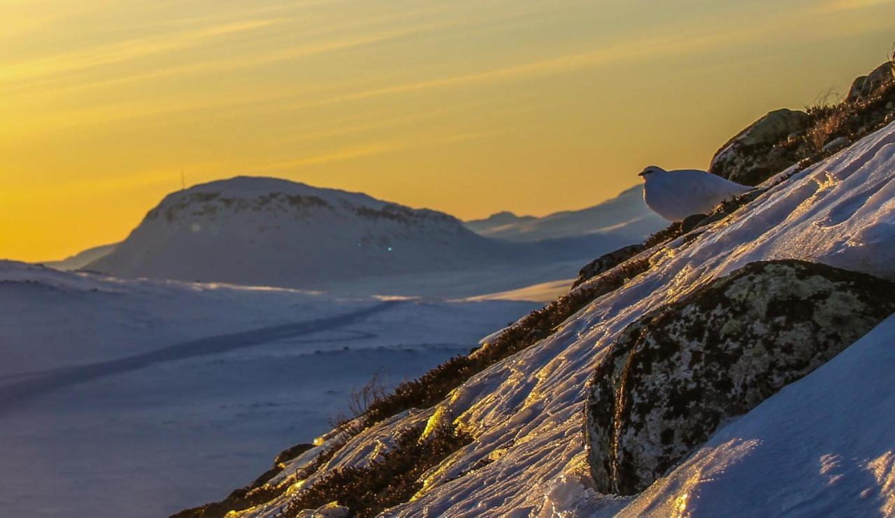 Apartmán Ahma Moekki Kilpisjärvi Exteriér fotografie